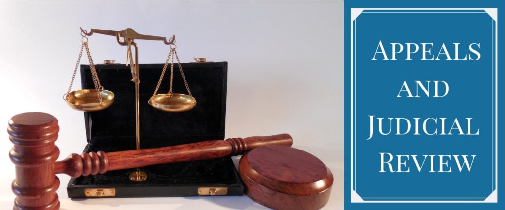 judicial review appeal