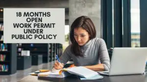 open work permit of up to 18 months